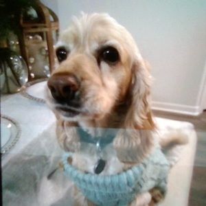 Meet your Posher, Maryann